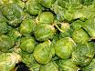 brusselsprouts