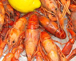 cookedcrayfish