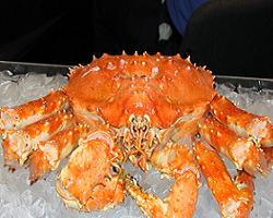 king crab