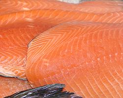 salmonfilet