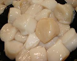 scallops